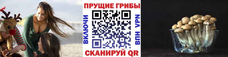 Галлюциногенные грибы MAGIC MUSHROOMS Нолинск